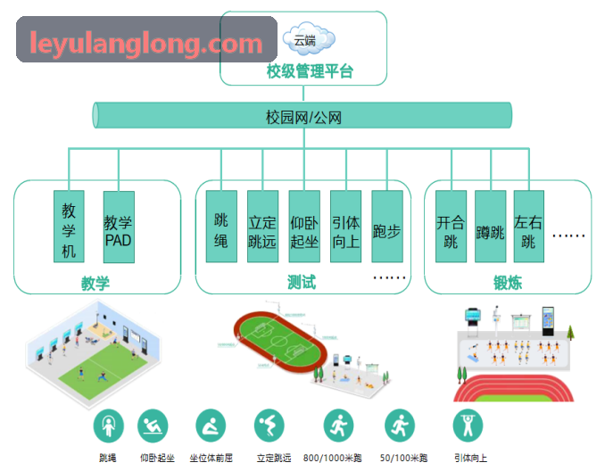 乐鱼科研背景网格